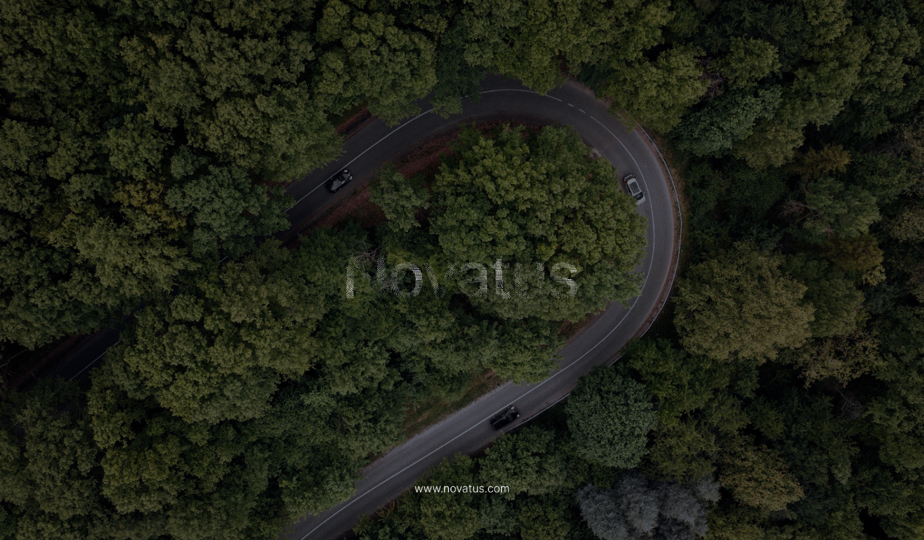 Novatus wordmark set into an aerial forest road