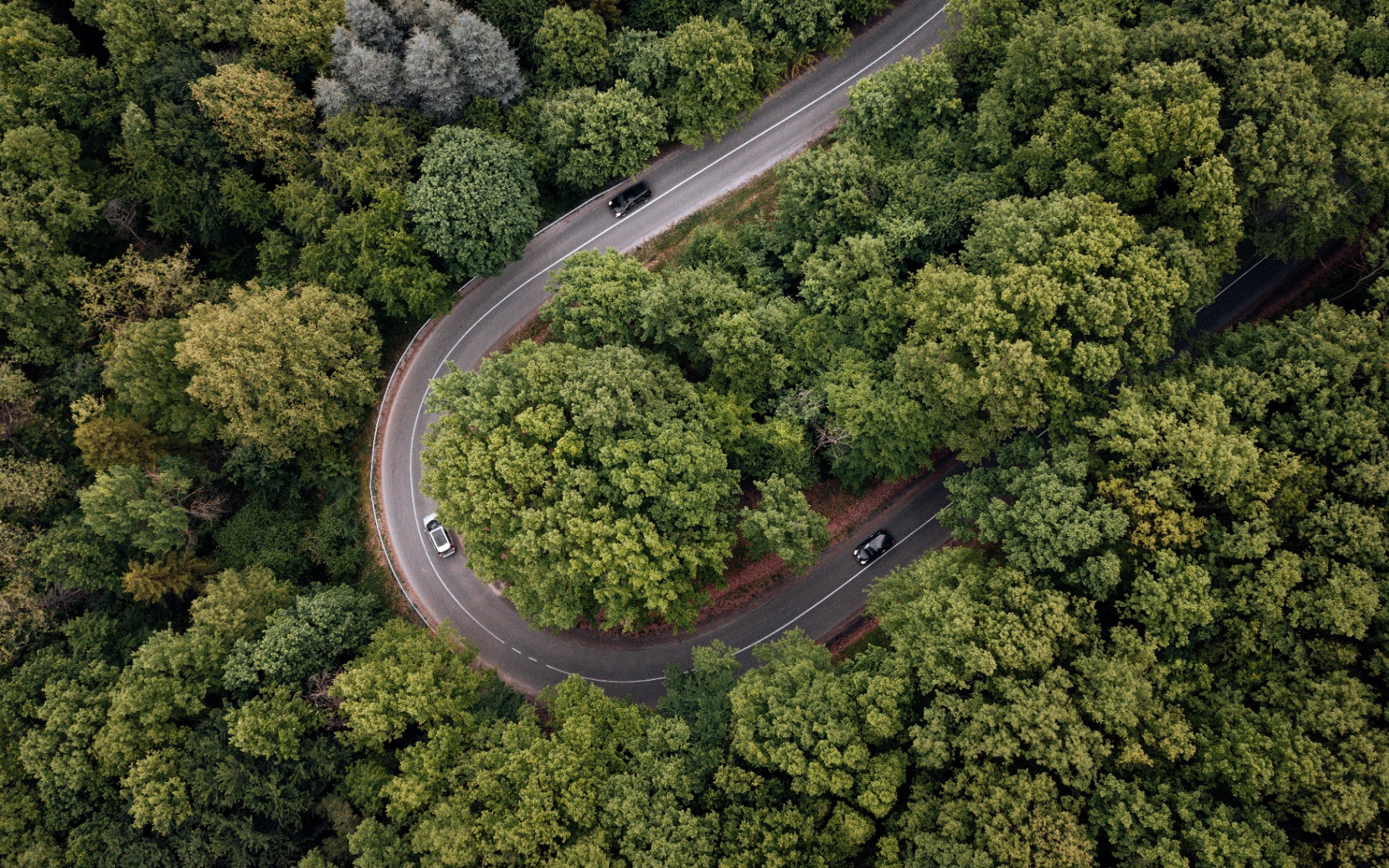 Aerial forest road, Novatus brand imagery