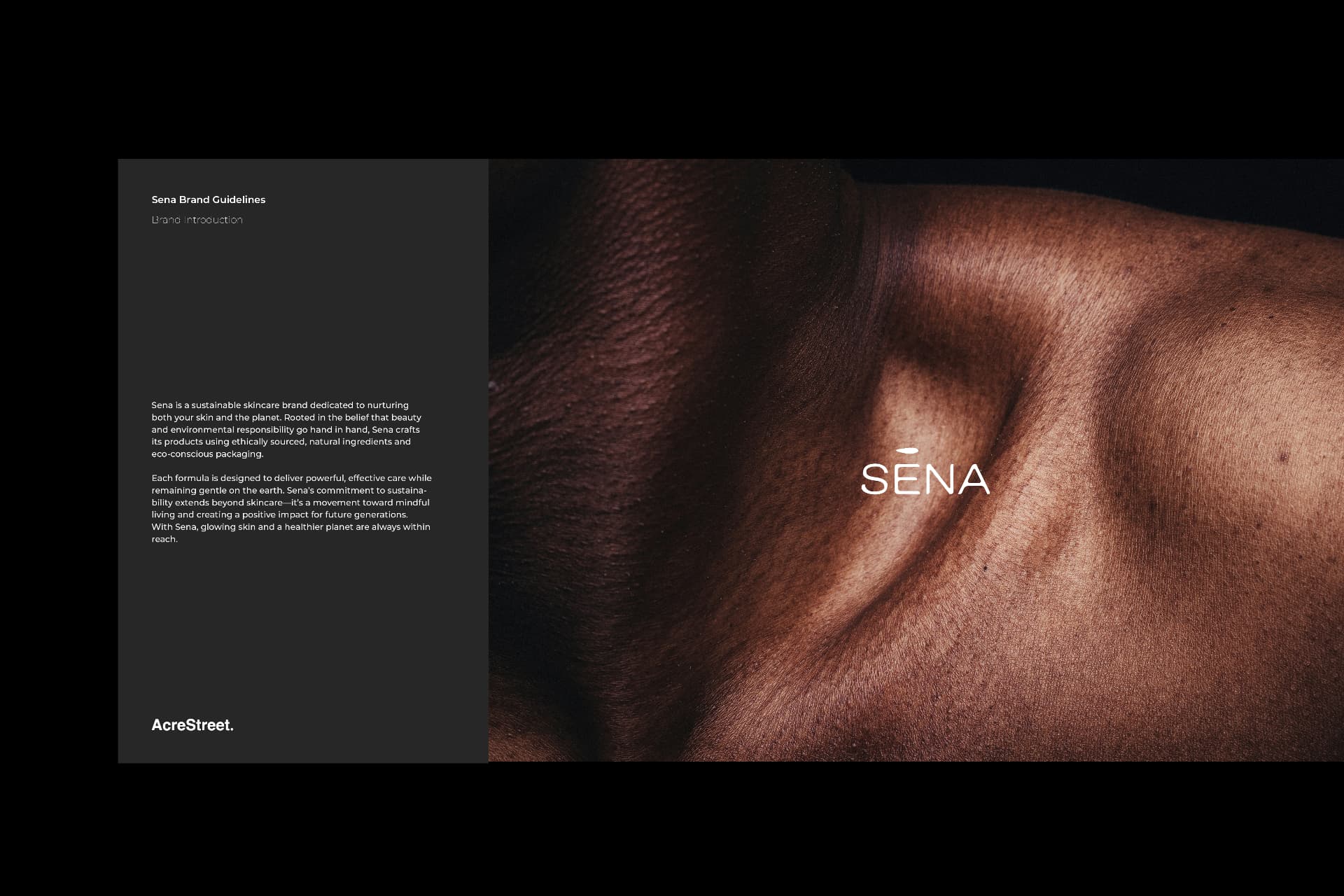 Sena brand guidelines spread